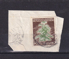 REPUBLIC 1950 - TOBACCO